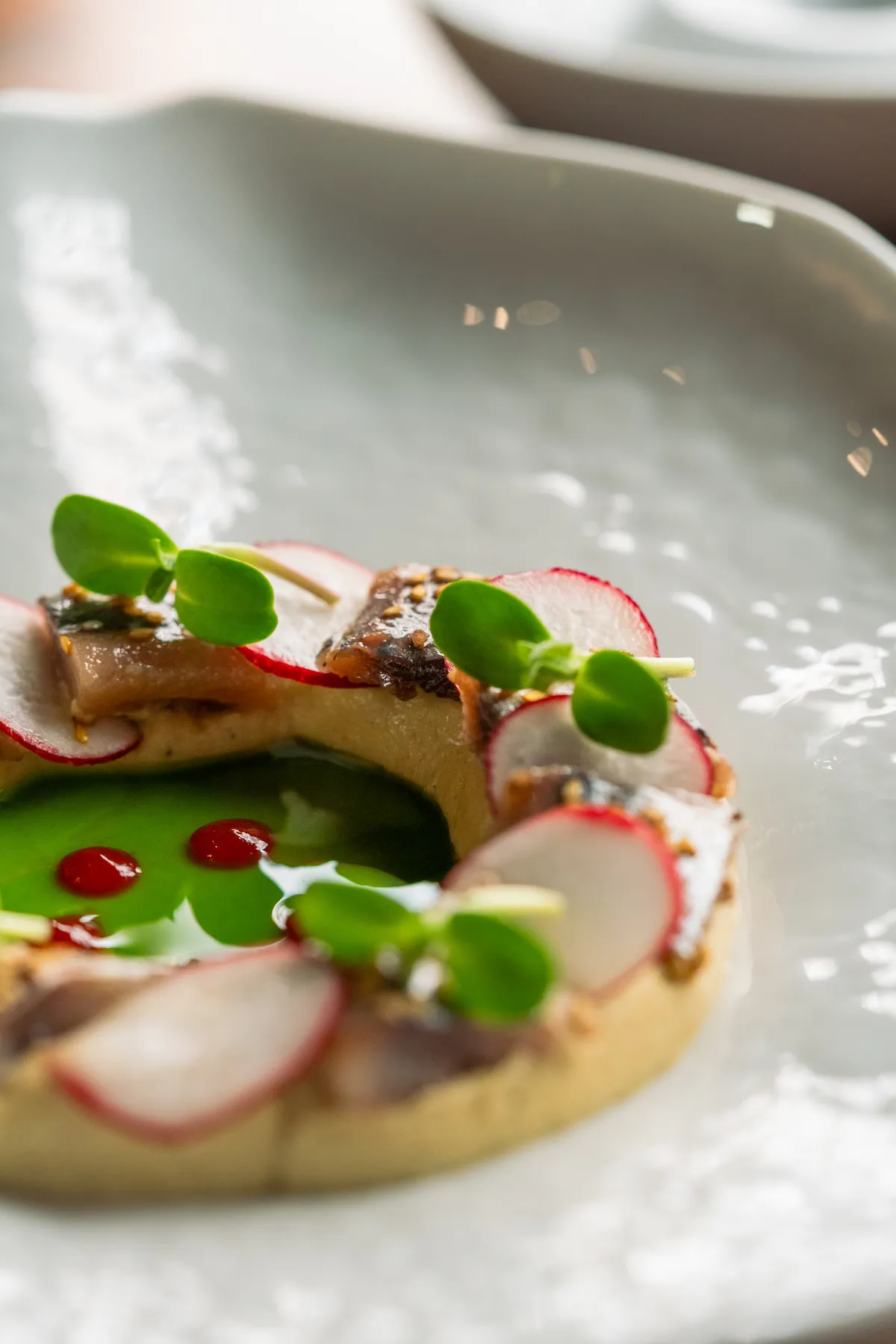 antxoeta-mousse-pescado-radichio